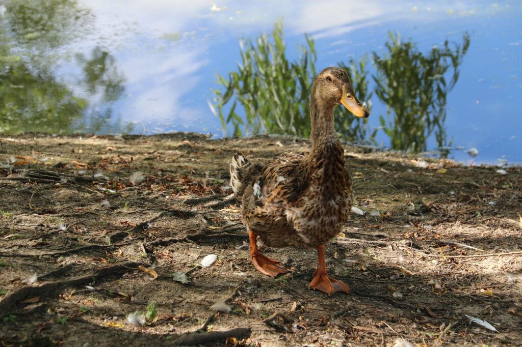 作成コーナーで魅力的なコンテンツをどうやって作るのか？